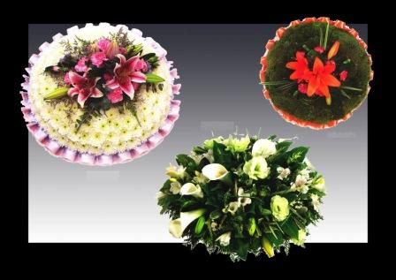 Posy pads